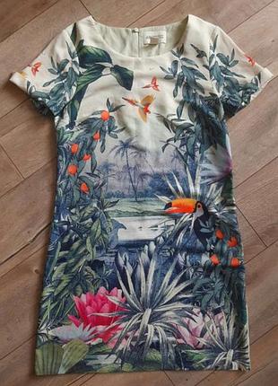Плаття 👗h&amp;m тропічний принт