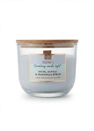 Ароматична свічка treewick musk, santal & magnolia birch treewick