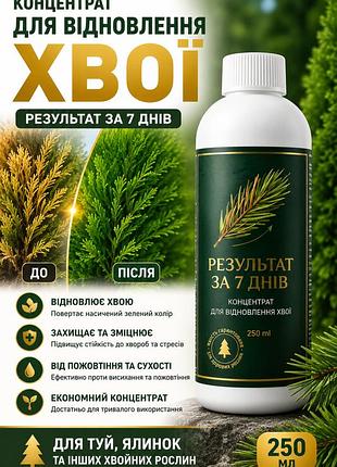 Концентрат для восстановления хвои 250мл — средство от пожелтения и усыхания туй и елей