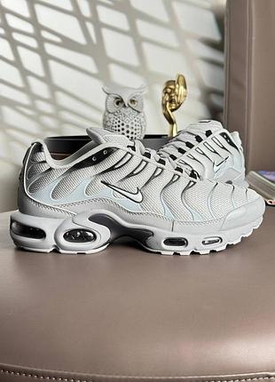 Мужские кроссовки nike air max plus tn pale grey