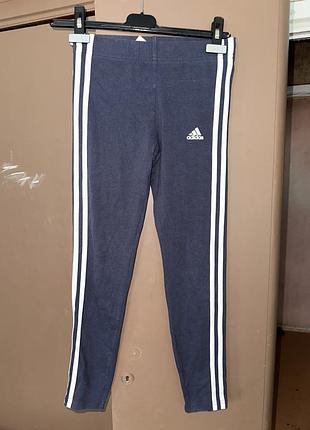 Лосины adidas