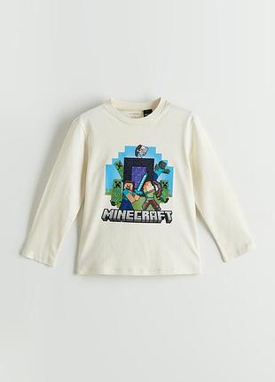 Лонгслів minecraft