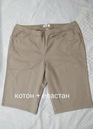 Шорты женские удлиненные батал бриджи от bpc