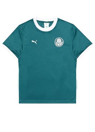 Футболка puma x palmeiras ringer tee 629533-43