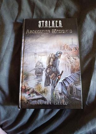 Карателі. stalker