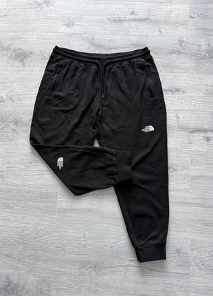Штани-джогери чоловічі the north face