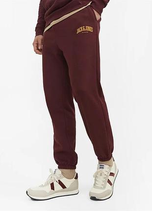 Штани jack andamp; jones jpstgordon jjjosh sweat pants ln 12254528-portroyale