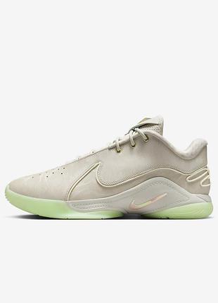 Кроссовки nike lebron xxii fz1094-002 45