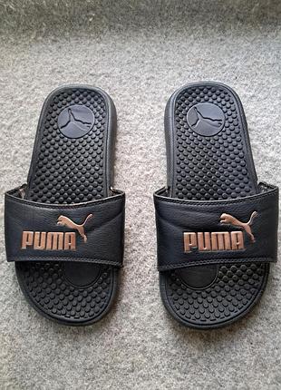 Известная модель puma cool cat в классическом черном цвете с золотисто-розовым логотипом (puma black-rose gold) размер 37