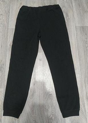Спортивные штаны north face