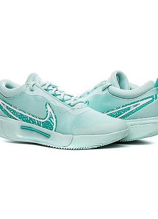 Кроссовки nike zoom court pro cly fd1156-300 41