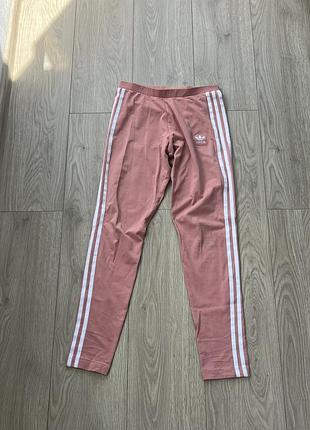 Лосіни adidas