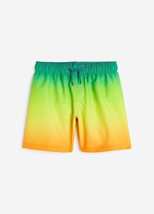 Разноцветные шорты для плавания плавки для мальчиков h&m 5-6 лет