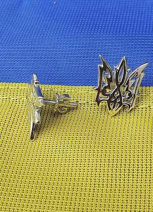 Пумери тризуб інтернет-магазин сільвер клаб