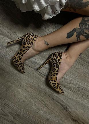 Туфлі в леопардовий принт new look