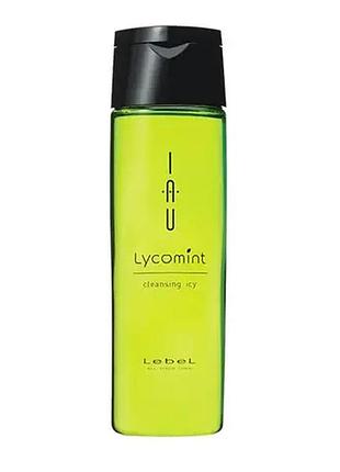 Lebel iau lycomint cleansing icy охолоджувальний шампунь для жирної та вікової шкіри голови 200 мл