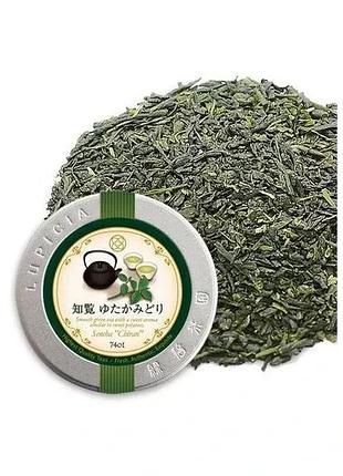 Lupicia chiran yutaka midori преміальний сенча глибокого пропарювання, 50 г
