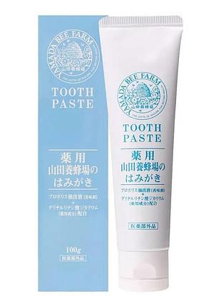 Yamada bee farm medicated toothpaste антибактеріальна зубна паста з екстрактом прополісу, 100 г