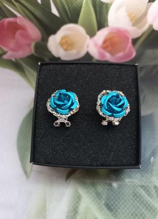 Сережки сережки