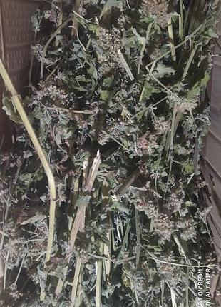 Мелиссовый аромочай крафтовый (успокоительный)