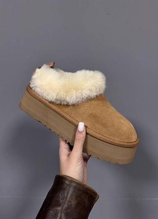 Жіночі бежеві сліпперс ugg tazelle platform chestnut х тазеллє 36