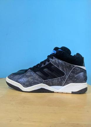 Кроссовки баскетбольные кожаные adidas originals enforcer mid