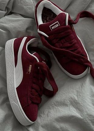 Suede xl bordo white