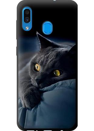 Чохол tpu на телефон samsung galaxy a30 2019 a305f димчастий кіт "825b-1670-58250"