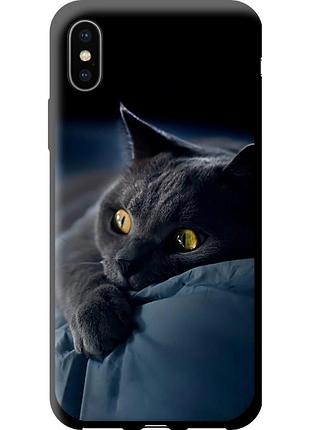 Чехол tpu на телефон iphone xs дымчатый кот "825b-1583-58250"