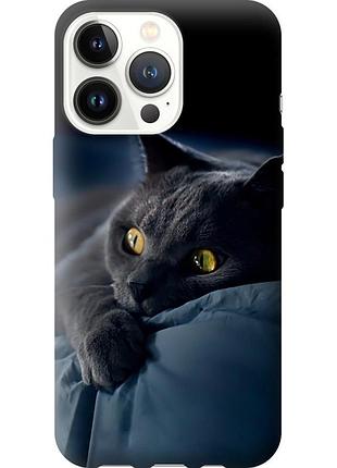 Чохол 2d пластиковий на телефон iphone 13 pro димчастий кіт "825t-2372-58250"