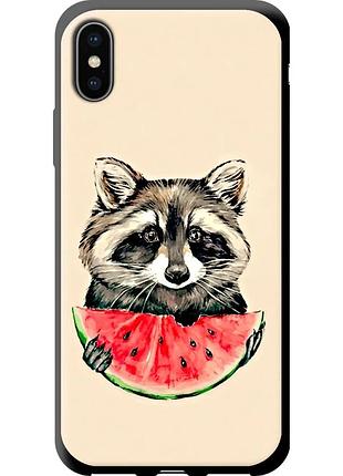 Чехол tpu на телефон iphone x енотик с арбузом "4605b-1050-58250"
