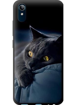 Чехол tpu на телефон vivo y91c дымчатый кот "825b-1762-58250"