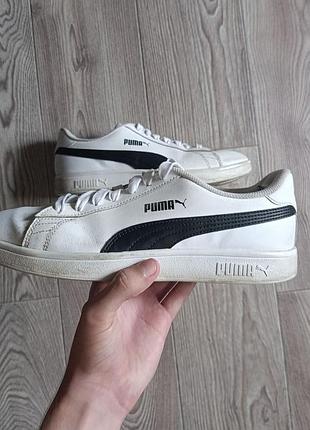 Оригінальні кеди puma