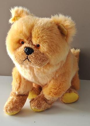 Ty beanie baby из серии zodiac dog, изображающая собаку породы чау-чау.игрушка была выпущена в 2000 году в честь китайского нового года.
