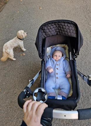 Коляска 2 в 1 bugaboo chameleon 10