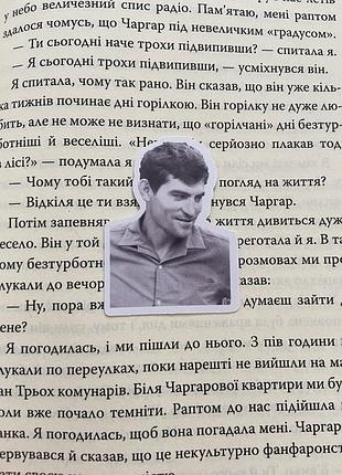 Наліпки/наклейки з василем стусом