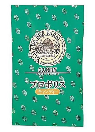 Yamada bee farm propolis candy льодяники з екстрактом прополісу, 100 г