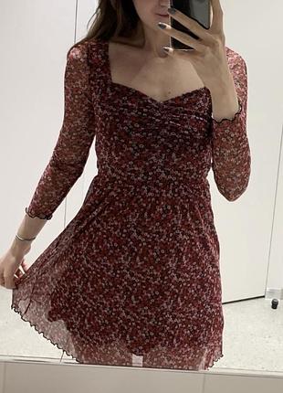 Сукня h&m розмір xs коротка