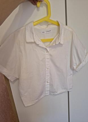 Блуза сорочка zara 152см