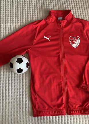 Спортивна кофта(олімпійка) бренду puma на 9-11 років