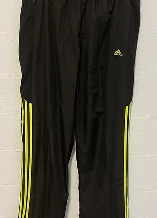 Чоловічі спортивні штани adidas