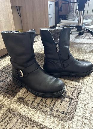 Зимові жіночі сапоги panama jack