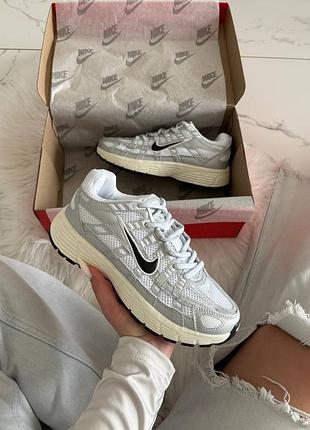 Nike p-6000 silver beige v2 8