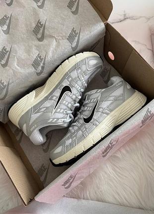 Nike p-6000 silver beige v2 10
