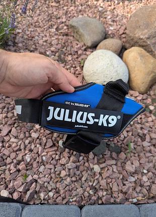 Julius k9 шлея для собак повідок ошейник