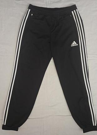 Штани adidas