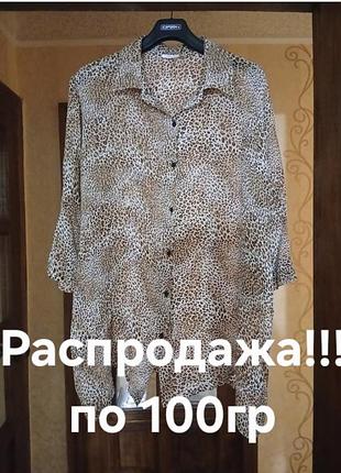 Блуза 🐆большой размер,оверсайз