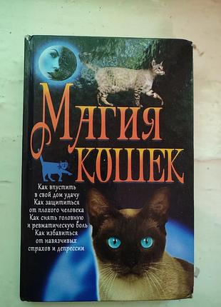 📚 лариса аксьонова — «магія кішок»