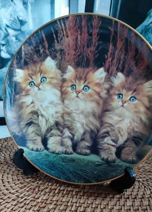 Декоративная тарелка с котиками danbury mint..