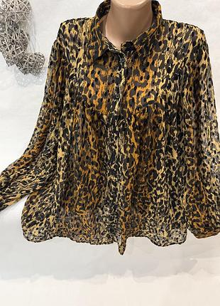 Роскішна блуза